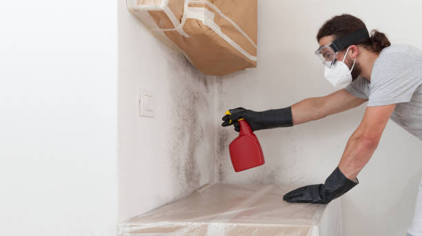 Professional Mold Removal technician working in Linden, NC